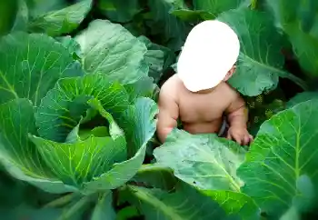 Efekt zdjęciowy z kategorii Dla dzieci № 90533 Efekt zdjęciowy z kategorii Dla dzieci № 90533