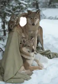 Efekt zdjęciowy z kategorii Dla kobiet № 129849