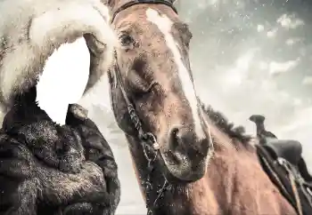 Efekt zdjęciowy z kategorii Dla kobiet № 38493