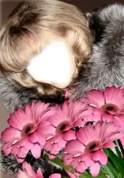 Efekt zdjęciowy z kategorii Dla kobiet № 38949