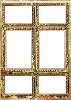 Efekt zdjęciowy z kategorii Album nr 1 № 842