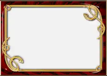 Efekt zdjęciowy z kategorii Album nr 2 № 852