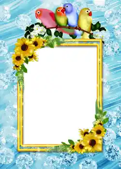 Efekt zdjęciowy z kategorii Album nr 4 № 860 Efekt zdjęciowy z kategorii Album nr 4 № 860