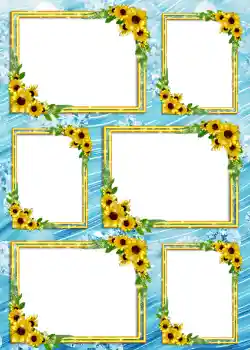 Efekt zdjęciowy z kategorii Album nr 4 № 904