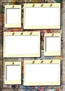 Efekt zdjęciowy z kategorii Album nr 5 № 913