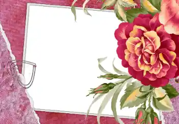 Efekt zdjęciowy z kategorii Ramki dla zakochanych № 112250