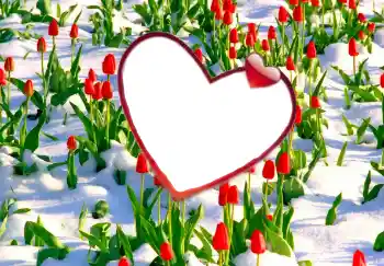 Efekt zdjęciowy z kategorii Ramki dla zakochanych № 114247