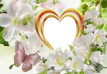 Efekt zdjęciowy z kategorii Ramki dla zakochanych № 114320