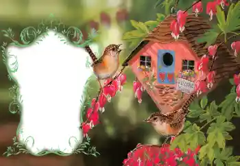 Efekt zdjęciowy z kategorii Ramki dla zakochanych № 114522