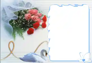 Efekt zdjęciowy z kategorii Ramki dla zakochanych № 12892