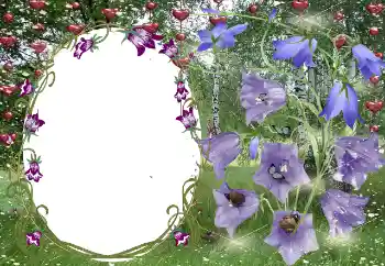 Efekt zdjęciowy z kategorii Ramki dla zakochanych № 131799 Efekt zdjęciowy z kategorii Ramki dla zakochanych № 131799