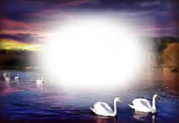 Efekt zdjęciowy z kategorii Ramki dla zakochanych № 153250 Efekt zdjęciowy z kategorii Ramki dla zakochanych № 153250