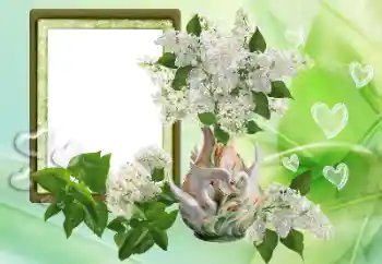 Efekt zdjęciowy z kategorii Ramki dla zakochanych № 153257 Efekt zdjęciowy z kategorii Ramki dla zakochanych № 153257