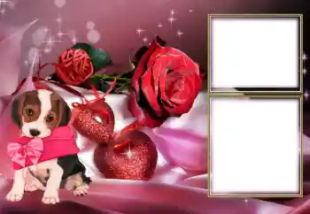 Efekt zdjęciowy z kategorii Ramki dla zakochanych № 154605 Efekt zdjęciowy z kategorii Ramki dla zakochanych № 154605