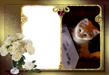 Efekt zdjęciowy z kategorii Ramki dla zakochanych № 163583 Efekt zdjęciowy z kategorii Ramki dla zakochanych № 163583