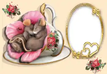 Efekt zdjęciowy z kategorii Ramki dla zakochanych № 170567