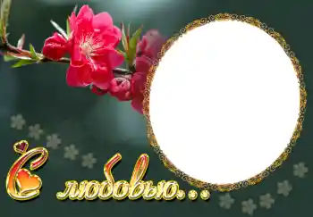 Napis na ramce: С любовью...