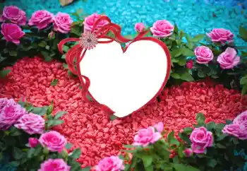 Efekt zdjęciowy z kategorii Ramki dla zakochanych № 175547