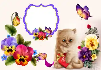 Efekt zdjęciowy z kategorii Ramki dla zakochanych № 177858