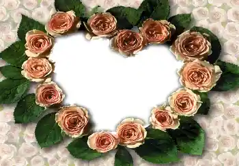 Efekt zdjęciowy z kategorii Ramki dla zakochanych № 1788