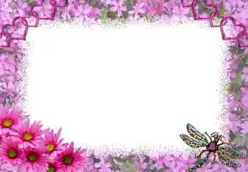 Efekt zdjęciowy z kategorii Ramki dla zakochanych № 1817