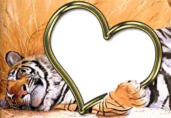 Efekt zdjęciowy z kategorii Ramki dla zakochanych № 2202