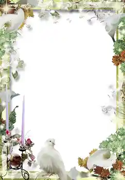 Efekt zdjęciowy z kategorii Ramki dla zakochanych № 2234