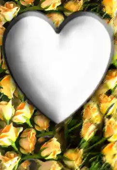 Efekt zdjęciowy z kategorii Ramki dla zakochanych № 32804