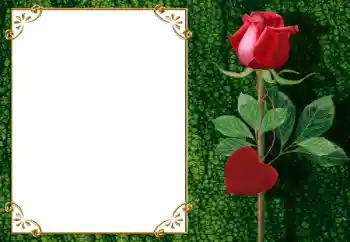 Efekt zdjęciowy z kategorii Ramki dla zakochanych № 34006