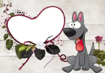 Efekt zdjęciowy z kategorii Ramki dla zakochanych № 35081