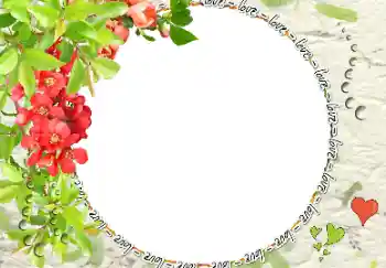 Napis na ramce: love