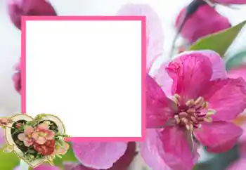 Efekt zdjęciowy z kategorii Ramki dla zakochanych № 43593