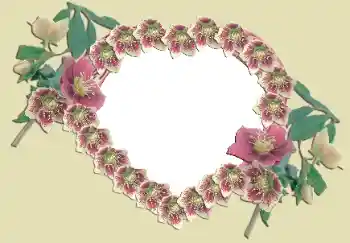 Efekt zdjęciowy z kategorii Ramki dla zakochanych № 49524