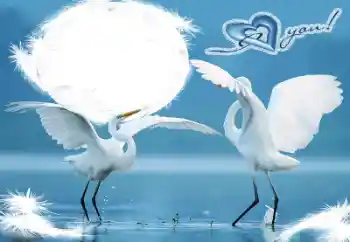 Napis na ramce: I love you!