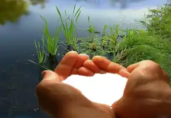 Efekt zdjęciowy z kategorii Ramki dla zakochanych № 67019