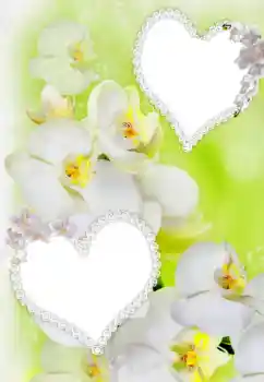 Efekt zdjęciowy z kategorii Ramki dla zakochanych № 91900