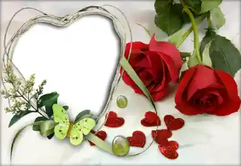 Efekt zdjęciowy z kategorii Ramki dla zakochanych № 9605