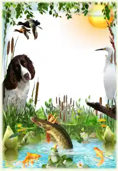 Efekt zdjęciowy z kategorii Ramki dla mężczyzn № 124265 Efekt zdjęciowy z kategorii Ramki dla mężczyzn № 124265