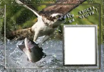 Napis na ramce: Fishing Napis na ramce: Fishing