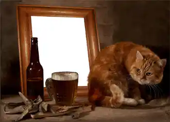 Efekt zdjęciowy z kategorii Ramki dla mężczyzn № 897 Efekt zdjęciowy z kategorii Ramki dla mężczyzn № 897