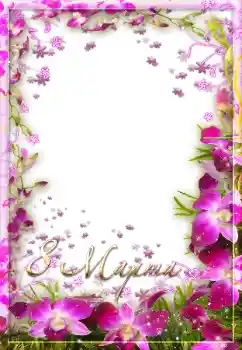 Napis na ramce: Women's Day Napis na ramce: Women's Day