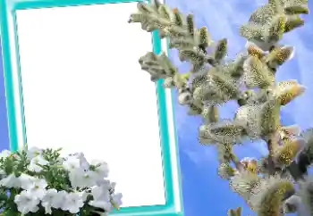 Efekt zdjęciowy z kategorii Kartki na Wielkanoc № 131205