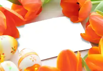 Efekt zdjęciowy z kategorii Kartki na Wielkanoc № 93170