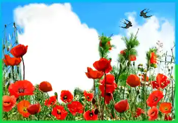 Napis na ramce: Victory in Europe Day Napis na ramce: Victory in Europe Day