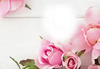 Efekt zdjęciowy z kategorii Różne święta № 115983 Efekt zdjęciowy z kategorii Różne święta № 115983