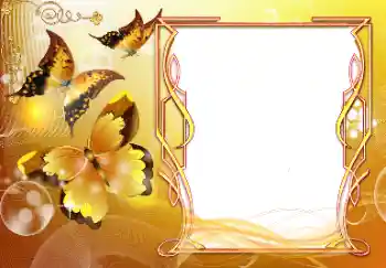 Napis na ramce: Gratulacje! Napis na ramce: Gratulacje!