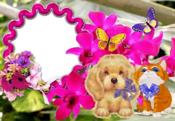 Napis na ramce: Gratulacje! Napis na ramce: Gratulacje!