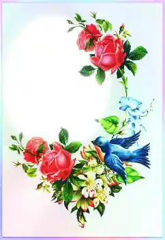 Napis na ramce: Gratulacje! Napis na ramce: Gratulacje!