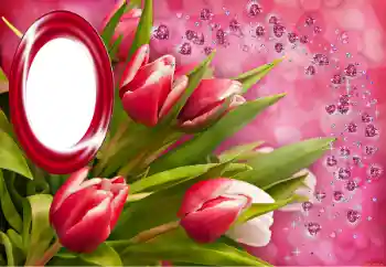 Efekt zdjęciowy z kategorii Różne święta № 150549 Efekt zdjęciowy z kategorii Różne święta № 150549