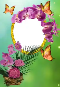 Efekt zdjęciowy z kategorii Różne święta № 150615 Efekt zdjęciowy z kategorii Różne święta № 150615